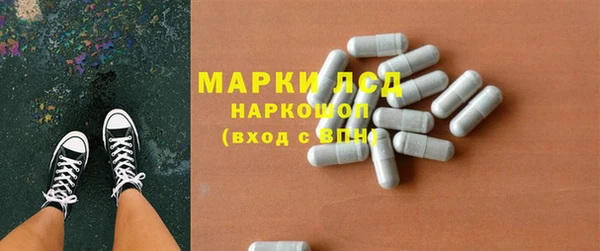 прущие грибы Алзамай