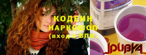 ПСИЛОЦИБИНОВЫЕ ГРИБЫ Абаза