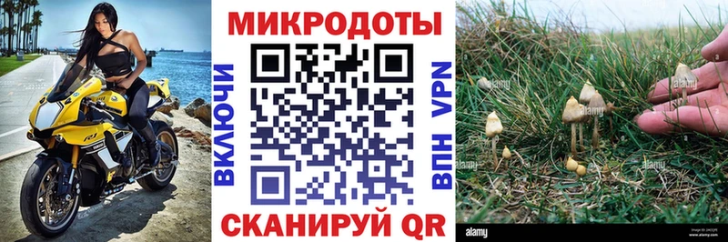 площадка наркотические препараты  Яровое  Галлюциногенные грибы ЛСД 
